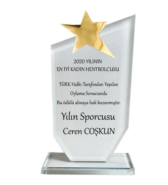 Kristal yıldızlı plaket-kadife kutulu