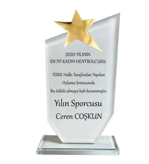 Kristal plaket metal yıldız ve siyah lüx kadife kutulu