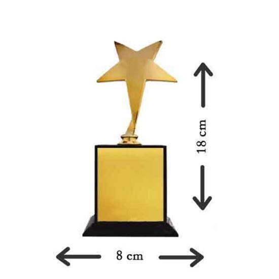 Yıldız ödül heykeli 18 cm