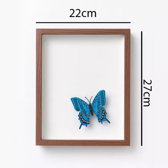 Ahşap Derin Kahverengi Hatıra Kutusu - 22x27