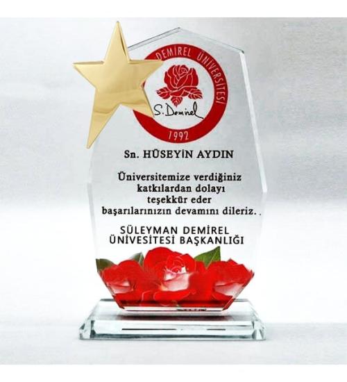 Dokuzgen Cam Kristal Plaket Yıldızlı