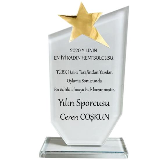 Kristal yıldızlı plaket