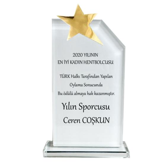 Kristal yıldızlı plaket