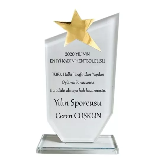 Kristal plaket-siyah kutu