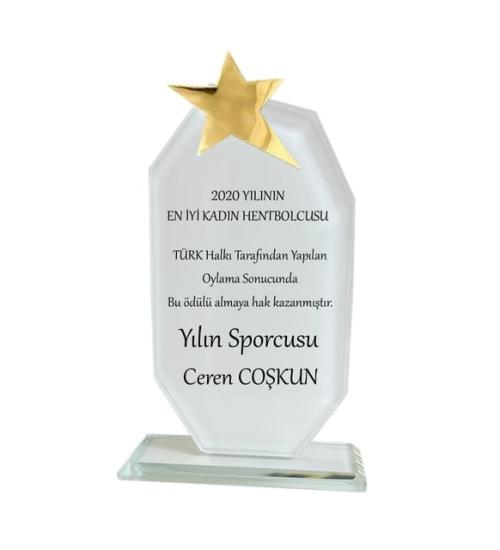 Kristal metal yıldızlı  plaket
