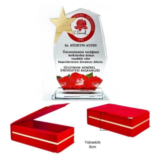   Kadife kutulu   Cam Kristal Plaket yıldızlı