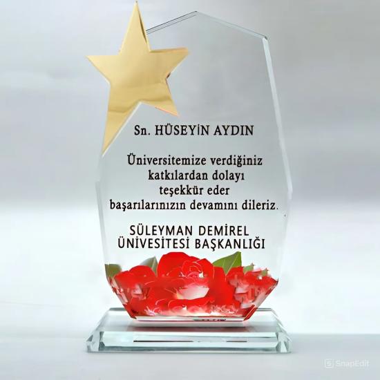 Dokuzgen Cam Kristal Plaket Yıldızlı